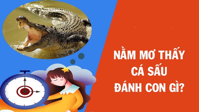 Chiêm bao thấy cá sấu mang về những con số may mắn không phải ai cũng biết