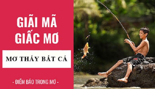 Giải mã các giấc mơ gặp cá Giải mã các giấc mơ gặp cá