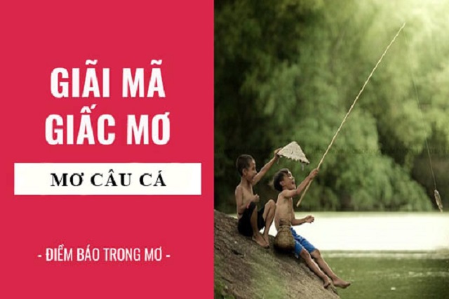 Giải mã ý nghĩa khi nằm mơ thấy câu cá Giải mã ý nghĩa khi nằm mơ thấy câu cá