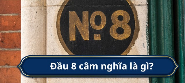 Khái niệm đầu 8 câm là gì? Khái niệm đầu 8 câm là gì?