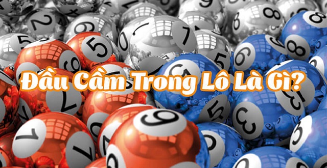 Tìm hiểu khái niệm đầu 2 câm