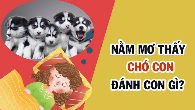 Đánh con gì khi mơ thấy 2 3 con chó? Đánh con gì khi mơ thấy 2 3 con chó?