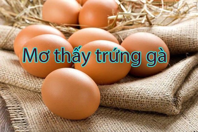 Luận giải điềm báo giấc mơ thấy trứng gà Luận giải điềm báo giấc mơ thấy trứng gà