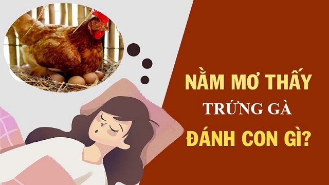 Mơ thấy trứng gà đánh đề số mấy? Mơ thấy trứng gà đánh đề số mấy?