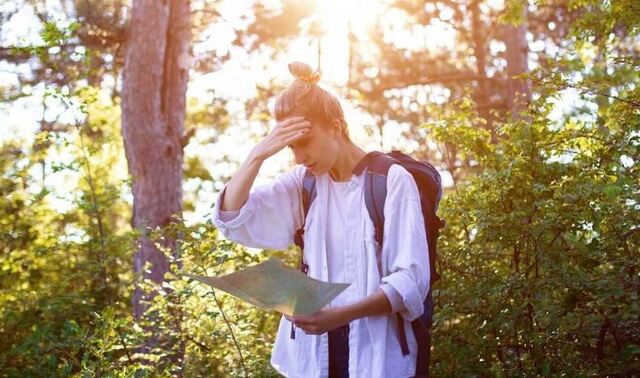 Giấc mộng thấy đi lạc đường vào rừng có thể khiến bạn sợ hãi
