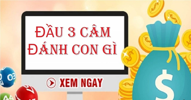 Điểm tạo nên sự thu hút đặc biệt của đầu 3 câm