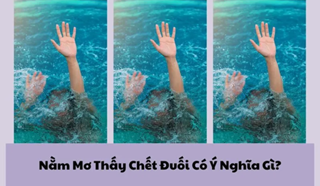 Đánh giá tổng thể giấc mơ trên nhiều góc nhìn khác nhau Đánh giá tổng thể giấc mơ trên nhiều góc nhìn khác nhau
