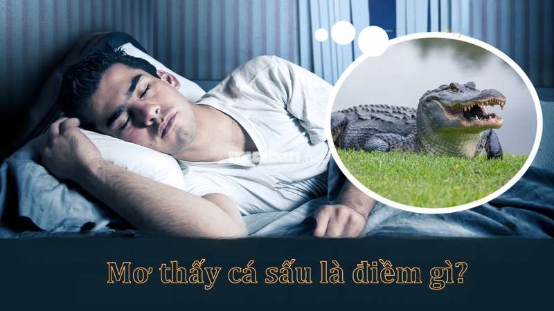Nằm mơ thấy cá sấu mang ngụ ý lành hay dữ?